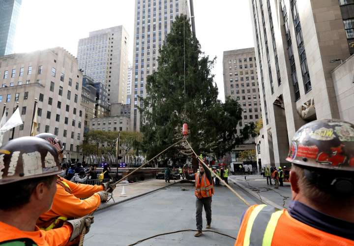 Llega el árbol navideño al Rockefeller Center