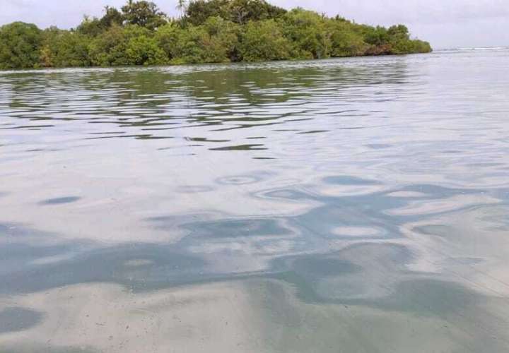 Ministerio de Ambiente investigan denuncia por contaminación en playa Samba Bonita, Cativá