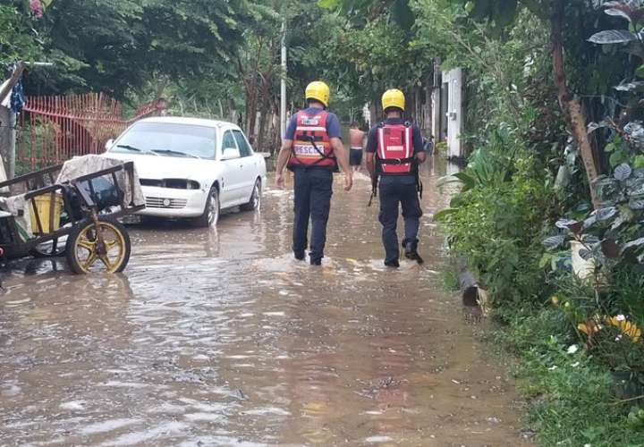 Más de 14 viviendas afectadas por inundación en Los Santos y Pedregal