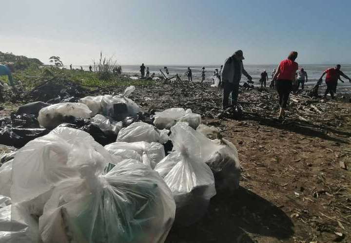 Honran Día Nacional del Voluntariado con jornada de limpieza de playa