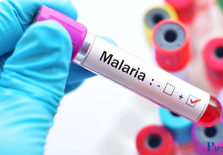 La Malaria ataca comunides indígenas 