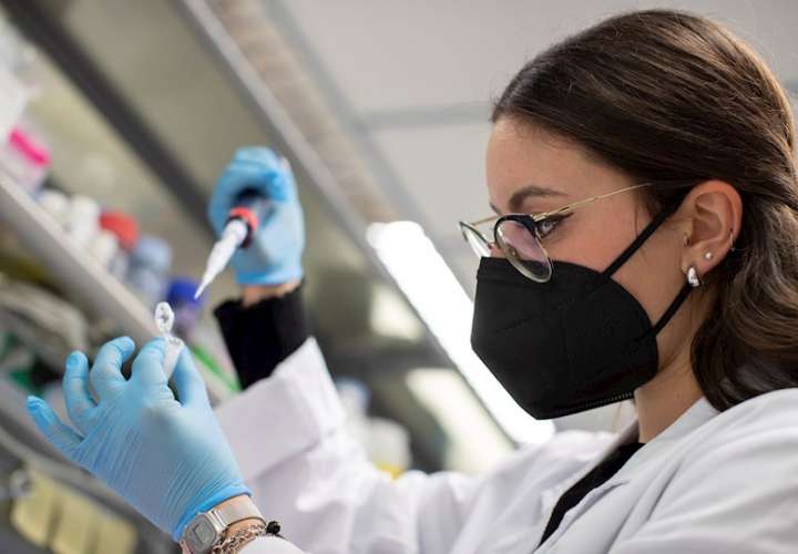 Investigadores del Centro de Regulación Genómica (CRG) de Barcelona han descubierto los mecanismos moleculares que apoyan a las defensas naturales del cuerpo contra el desarrollo del cáncer de piel. EFE