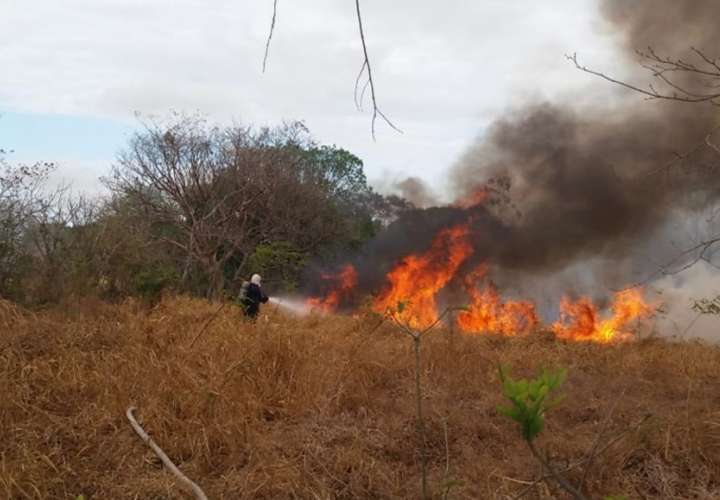 Buscan disminuir afectaciones por incendios forestales en Los Santos