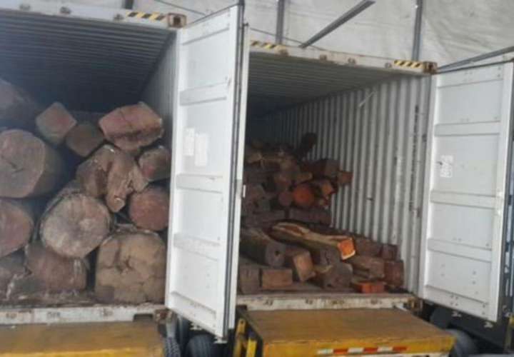 Panamá participa en operación contra tala y exportación ilegal de madera