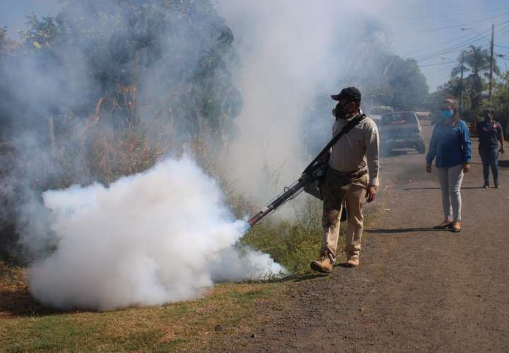 Panamá registra 103 casos por dengue en lo que va del año