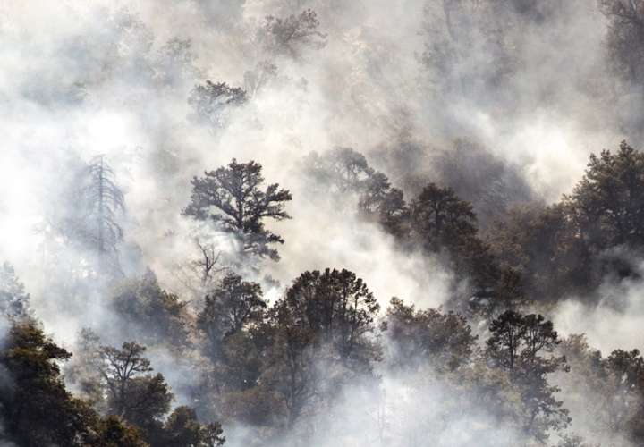 Vista de un incendio en California, en una fotografía de archivo. EFE