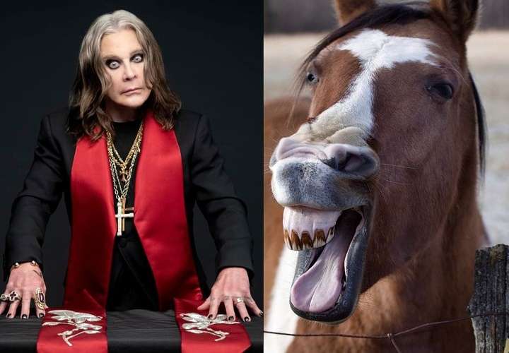 Ozzy Osbourne dejó de drogarse tras hablar una hora con un caballo