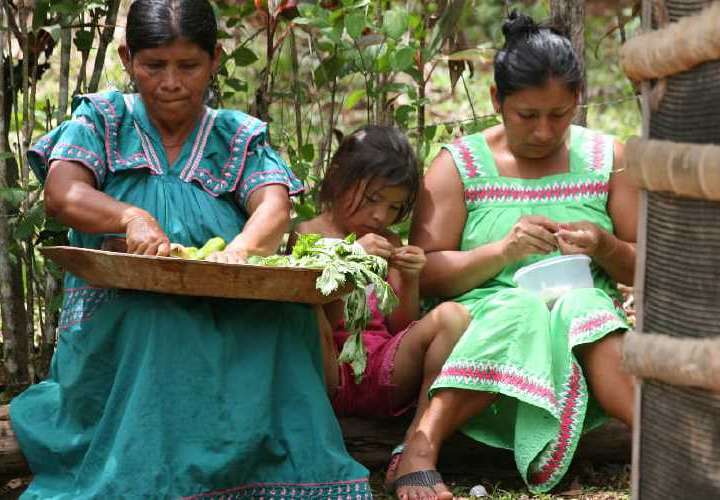 Conmemoran el Día Internacional de la Mujer Indígena 