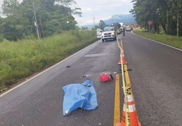 Camión atropelló y mató a panameña mientras caminaba por la orilla de la vía.