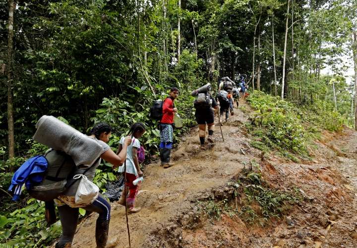 Contaminación y cacería ilegal: efectos de la migración 