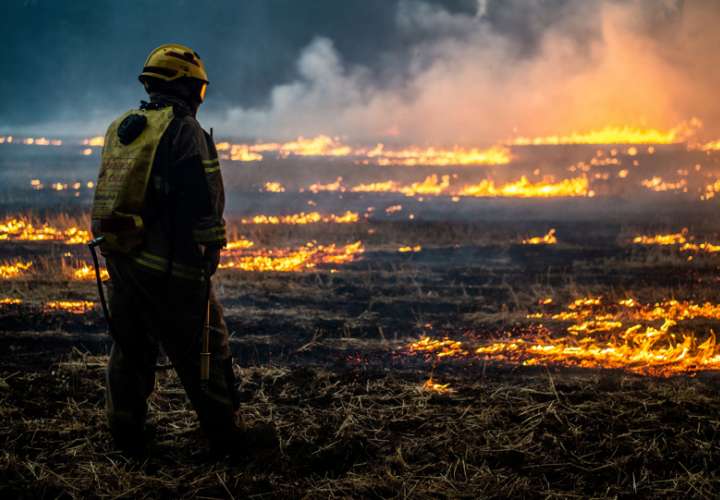 Bomberos intentan apagar un incendio en Ercilla, región de la Araucanía (Chile). EFE