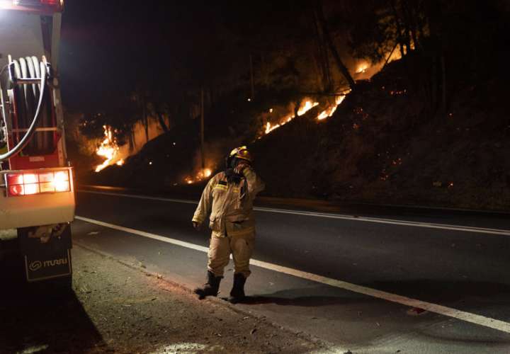 Bomberos realizan labores para extinguir un incendio forestal, en la ruta que une Santa Juana y Concepción, en la región del Bio Bio (Chile), este 9 de febrero de 2023. EFE