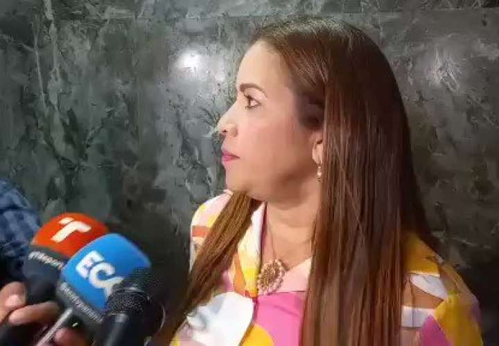 Diputada Corina Cano brinda las explicaciones del tema a la prensa nacional. (Foto-Video: Víctor Arosemena)