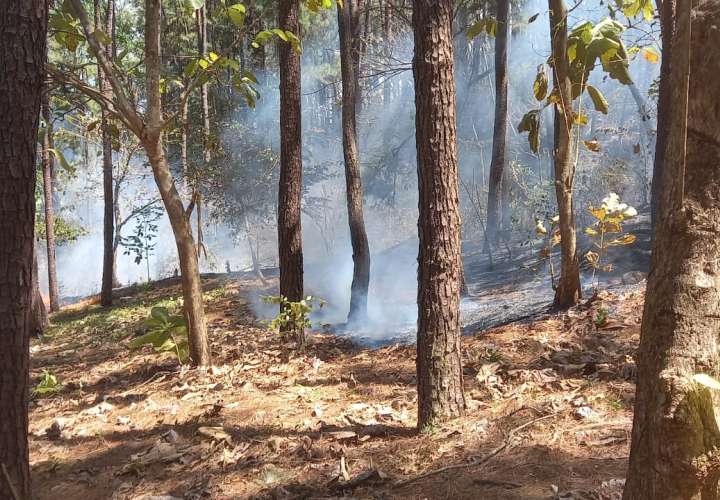 Reservas naturales de Veraguas en peligro por incendios forestales