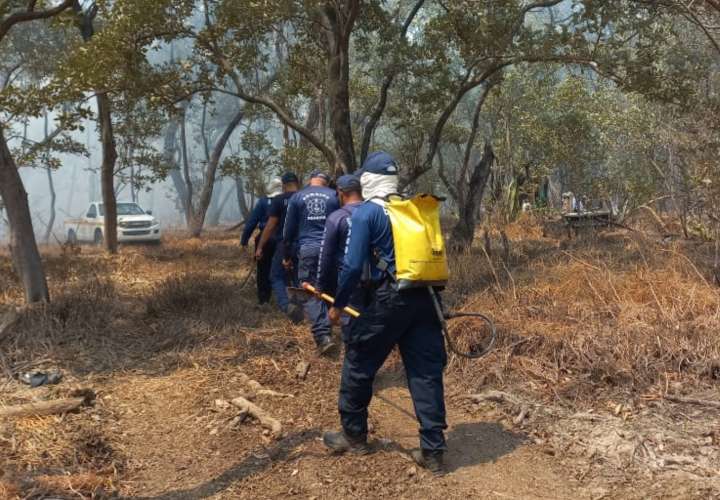 Continúa  lucha contra el fuego en área protegida de Herrera