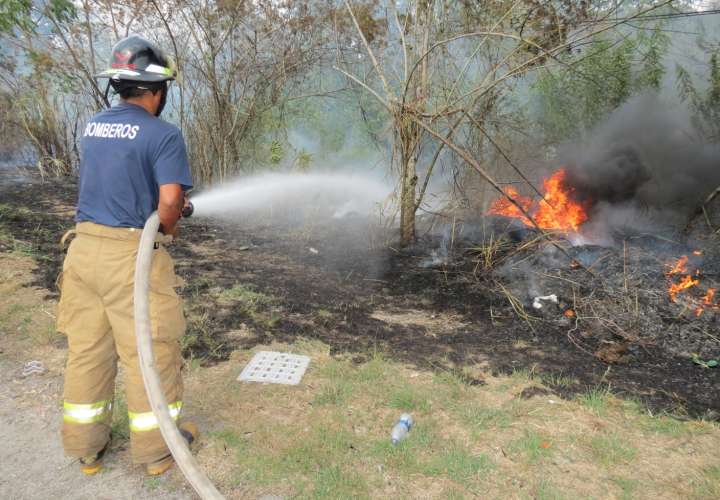 Incendios forestales afectan reserva biológica de Panamá Oeste 