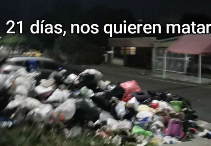 Residentes de Veranillo, calle L Final, denuncian que Revisalud no recoge la basura. (Foto:Ilustrativa)
