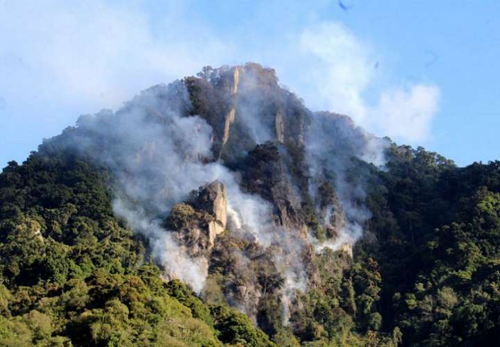 El fuego ingresó a los límites del Parque Internacional La Amistad (PILA), y afectó cinco hectáreas de bosque primario.