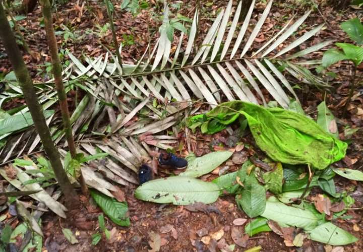 Fotografía cedida por las Fuerzas Militares de Colombia en la que se ve una toalla y un par de zapatos encontrados en la selva donde ocurrió el siniestro aéreo del Cessna 206.