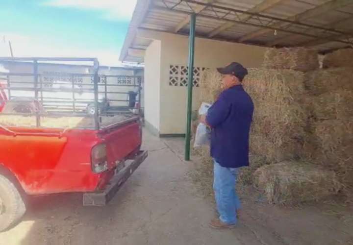 Sequía hace estragos en la provincia de Herrera