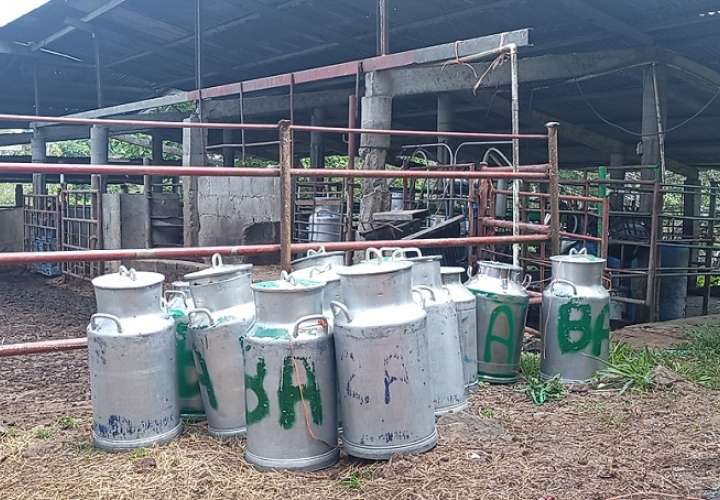 Panamá Oeste las principales fincas productoras de leche se ubican en los corregimientos de Herrera y Mendoza en La Chorrera y Monte Oscuro en Capira.