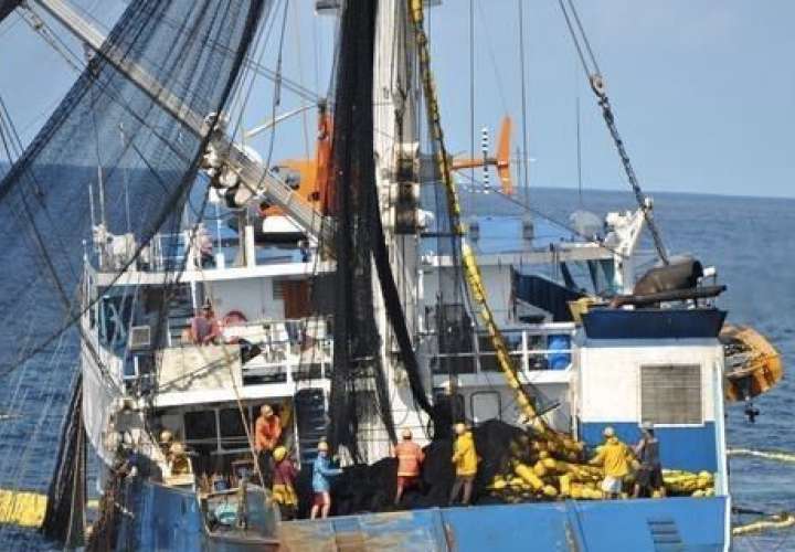 Industria pesquera preocupada por medida que afecta a embarcaciones