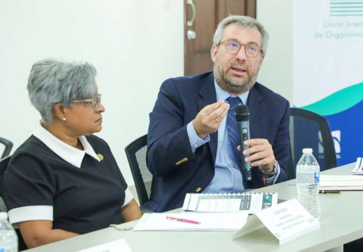 Observadores en primarias del Panameñismo