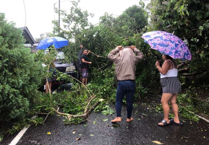 Vientos tumba palos y fuerte lluvia causan pánico en Veraguas