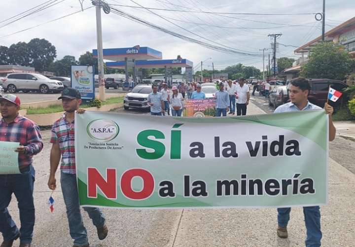 Los productores participaron en una caminata pacífica este viernes por las calles de Las Tablas hasta la gobernación de la provincia.