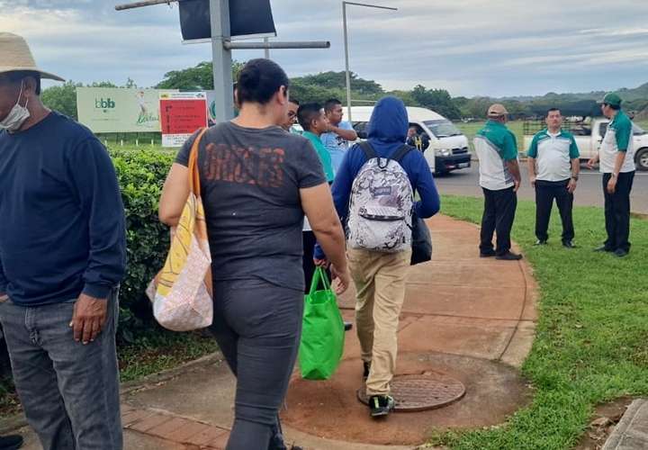 Transportistas paralizan sus operaciones en Herrera