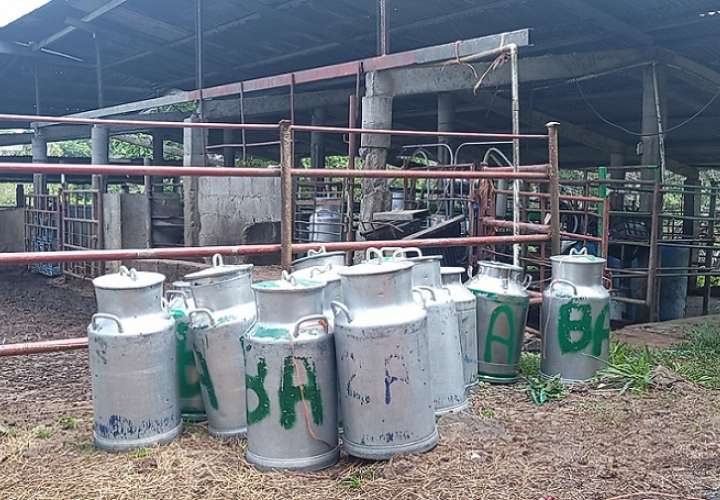 Han suspendido acopios a cientos de pequeños productores de leche grado B y C, incluso algunos productores grado A por la imposibilidad de llegar a sus fincas.