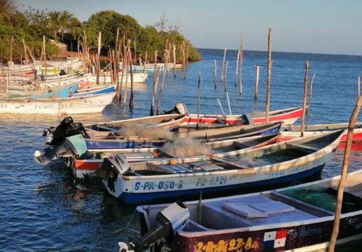'La pesca de arrastre no es una actividad nueva en Panamá'