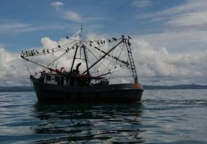 Modifican decreto que reglamenta Pesca y Acuicultura 