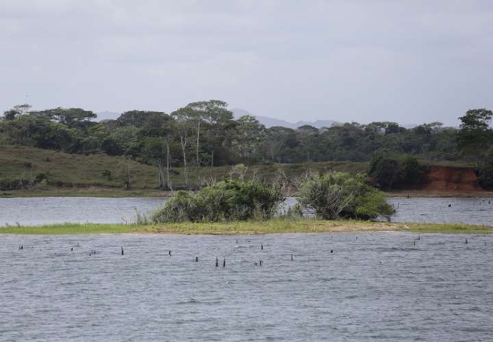 Fotografía del Lago Gatún afectado por el cambio climático. EFE