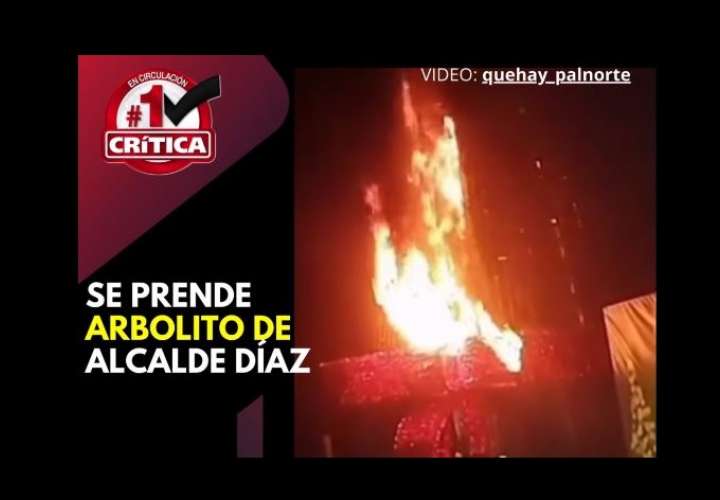 Arde árbol de Navidad en Alcalde Díaz 