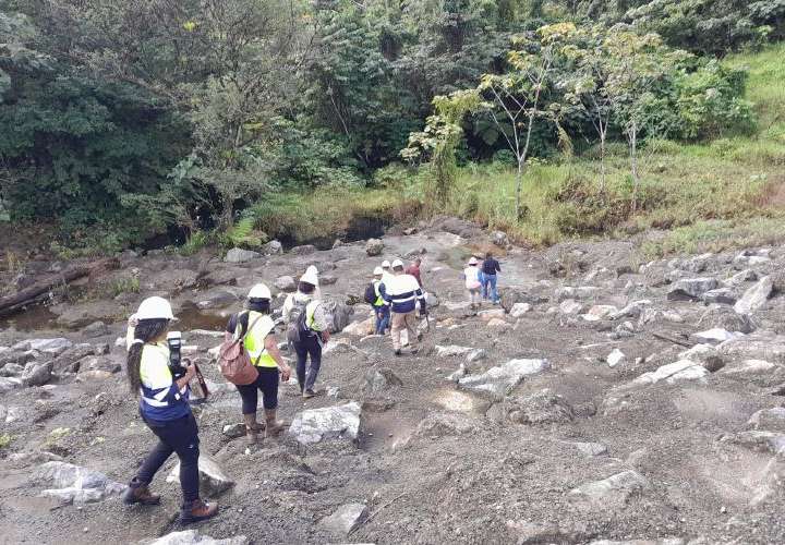 Investigan posible delito ambiental dentro de Minera Panamá