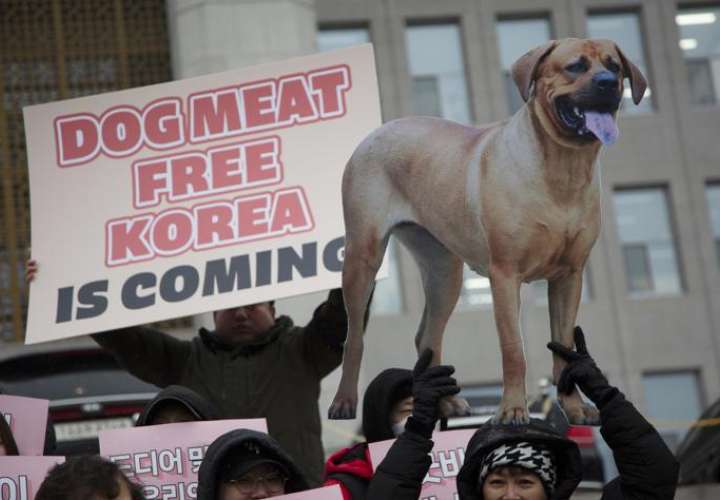 Corea del Sur prohibirá el consumo humano de carne de perro