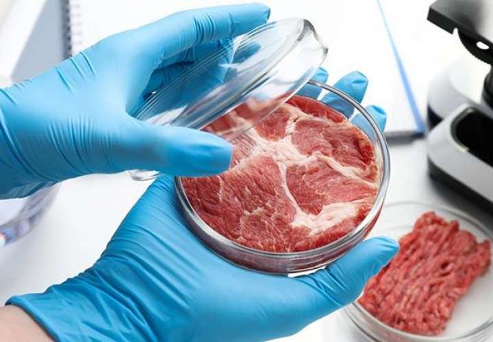 Israel, primer país del mundo en aprobar la venta de carne sintética
