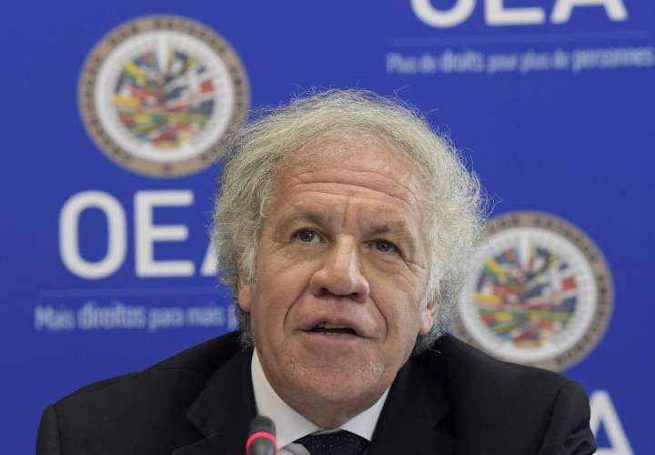 Piden a la OEA pronunciarse sobre plan para impedir candidatura