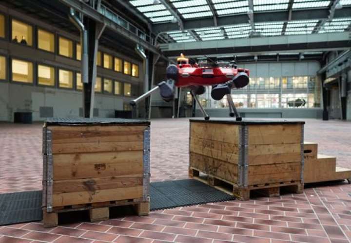El robot cuadrúpedo ANYmal practica 'parkour' en una sala de la ETH de Zúrich. EFE