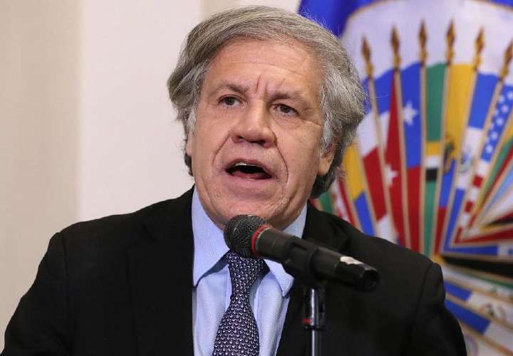 OEA acoge preocupación sobre intento de joder candidatura de Mulino
