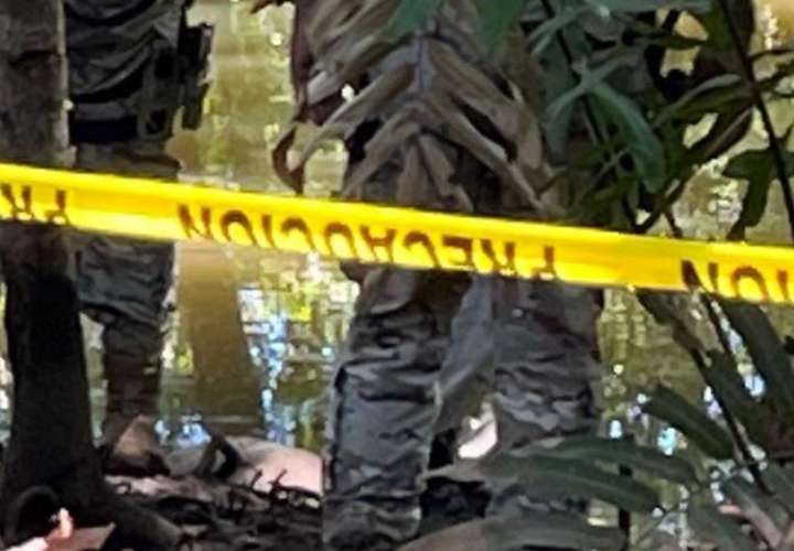 Mujer muere tras ser golpeada por una rama de árbol en río Camarón