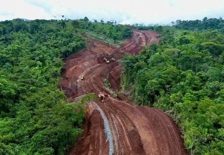 Destrucción de bosques primarios.