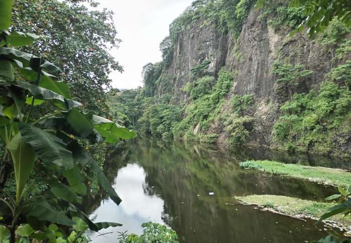 El Lago es el hogar de diferentes especies.