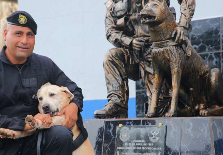 Roy, el perro policía. Foto: Cortesía