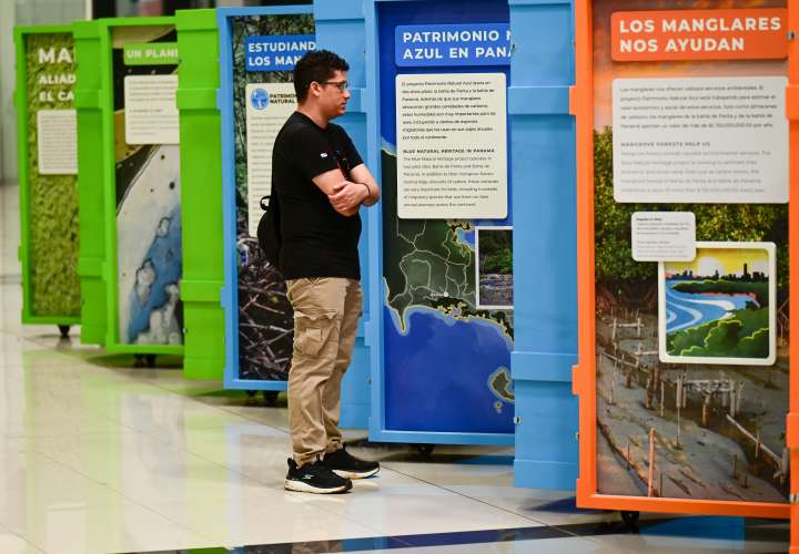 Exhibición Manglares: Aliados Contra el Cambio Climático. Foto: Cortesía