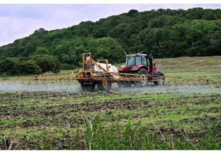 ¡Alzan la voz! Sector arrocero marcha por la soberanía alimentaria