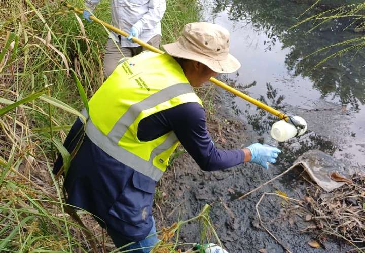 Incumplimientos ambientales en proyecto turístico en Río Hato