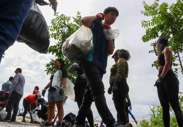 Recolectan toneladas de basura en Costa del Este