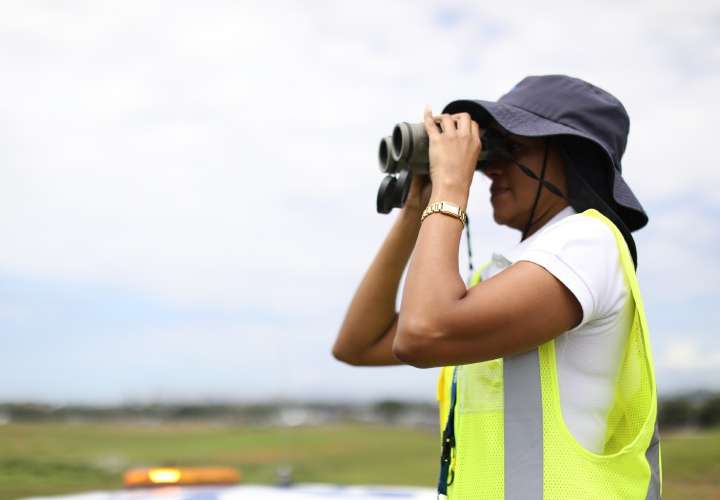 Medidas preventivas ante migración de aves en Panamá